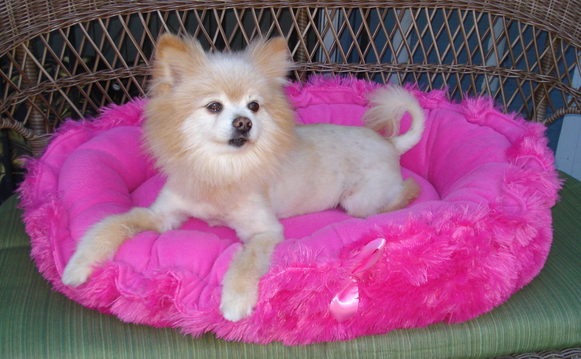 pink faux fur dog bed