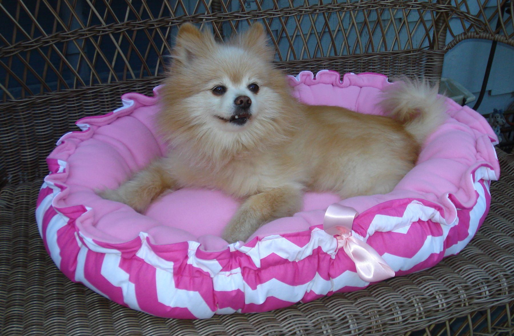 blue zebra print dog bed