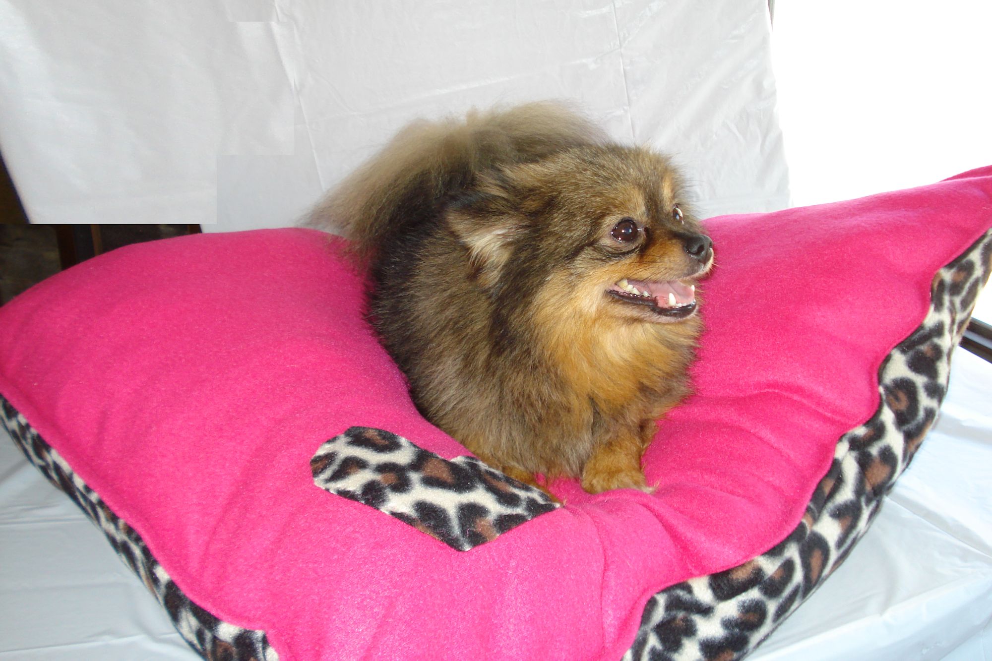 pink cheetah print dog bed